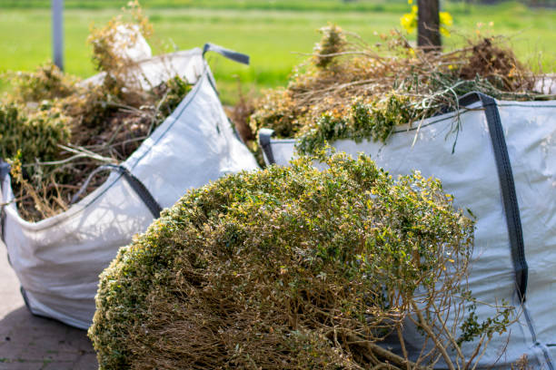 Best Yard Waste Removal  in Shaw Heights, CO